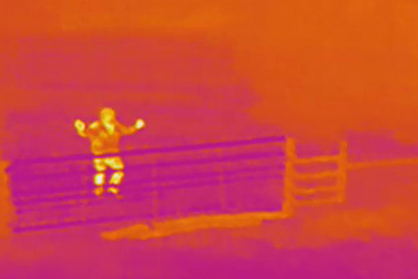 Thermal imagery of a suspect captured with a drone